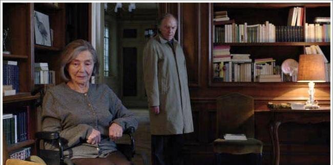 鸽子|电影《爱》带你洞见爱情最后的样子