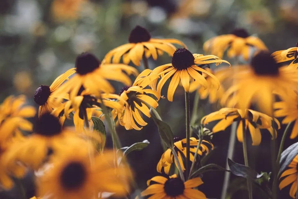 家电实体店日子难过,但这家潮流零售店却在逆势扩张-家电圈官网