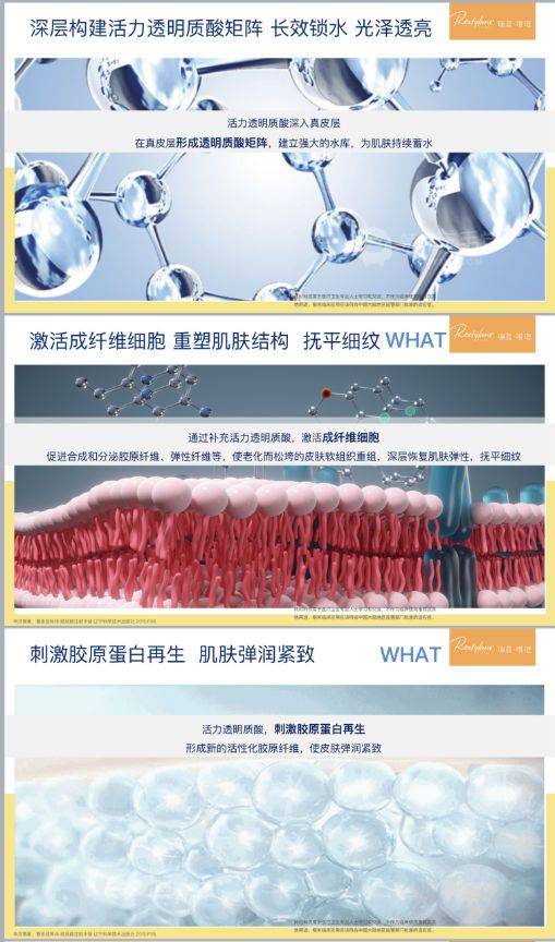 分析双孖医疗王培蕾|高德美2021CEO高峰论坛分析瑞蓝唯瑅爆品思路