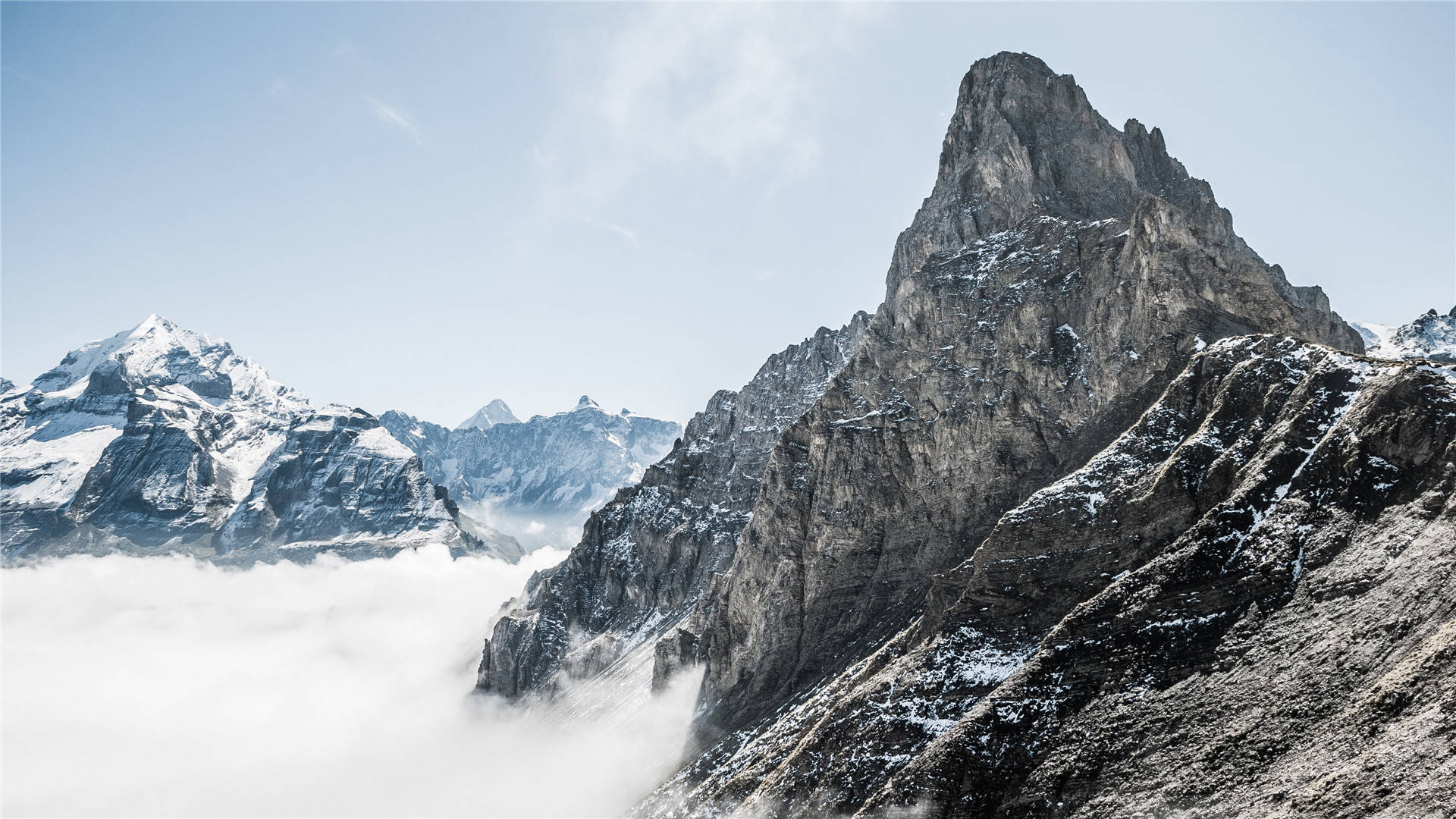 简约生活,去留随意,顺畅自心