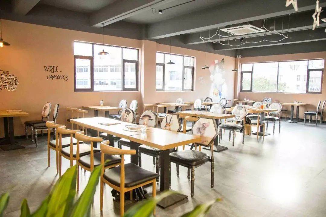 宠物主题网红餐厅爆火宠物与餐饮的完美结合