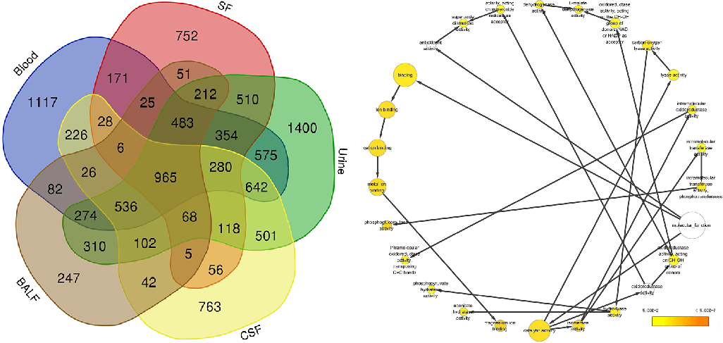 五种体液蛋白质组的venn图及共有蛋白质的go注释