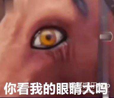 什么|马戴美瞳画眼线？太子妃升职记的马后期合成，骑马戏都是这么拍？！