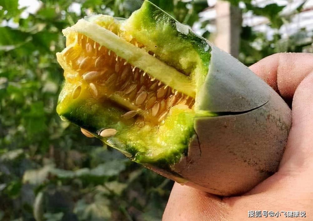 人体|女性不想变老,常食3种食物,排出毒素,补血美容,促进血液循环