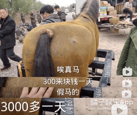 什么|马戴美瞳画眼线？太子妃升职记的马后期合成，骑马戏都是这么拍？！