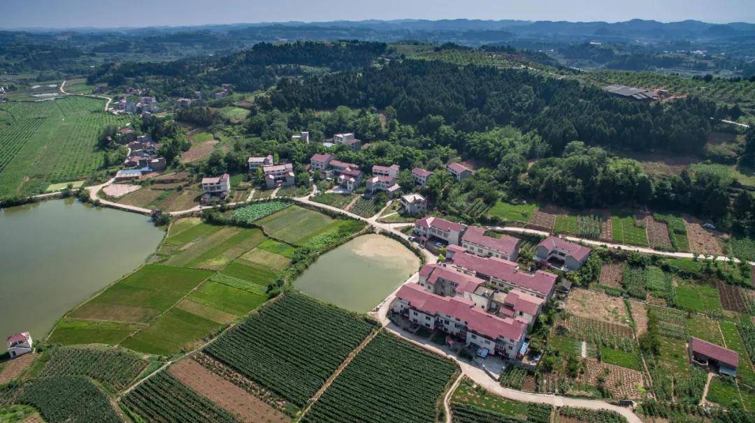 金堂县人民政府答:网民反映的情况为又新镇祝新村太尉沟微污站修建