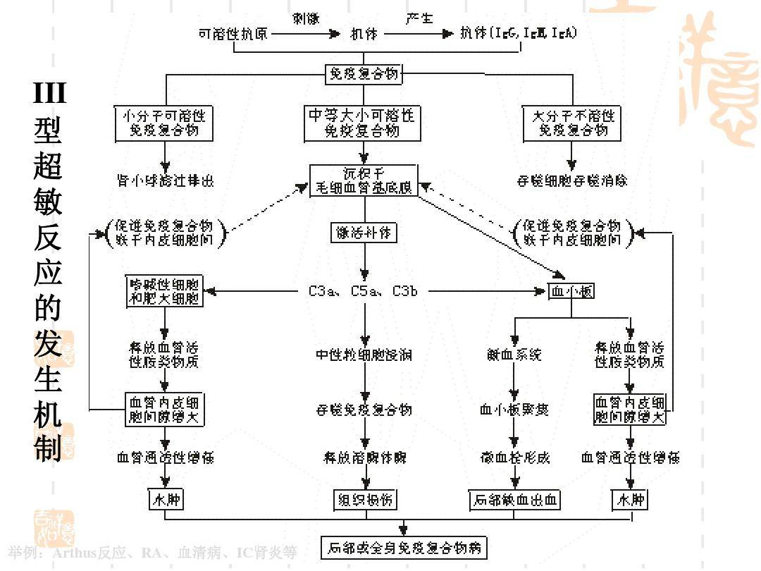 醫學考研怎麼複習幾個技巧教會你快學起來吧