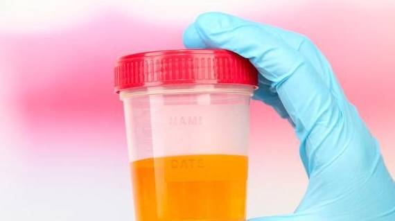 红细胞|肾病早期如何解决尿潜血、蛋白尿的威胁？三步走挽救肾功能