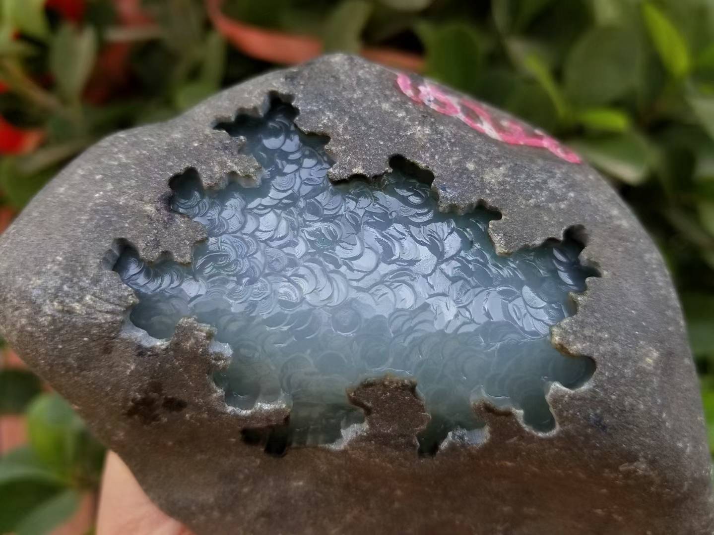 翡翠知识——黑冰翡翠_黑色