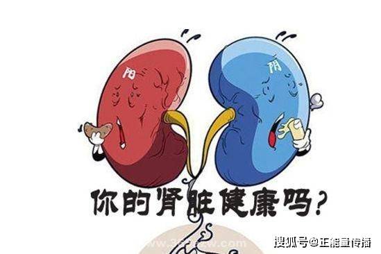 肾脏|肾功受损,身体知道!肾衰竭的6个早期症状,或是都被你忽视了