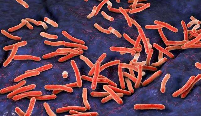 因为|不小心感染了结核菌，一定会得结核病吗？