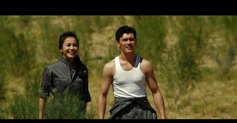 电影《梭梭草》 @蚂蚁森林 种梭梭有故事啦……_网友