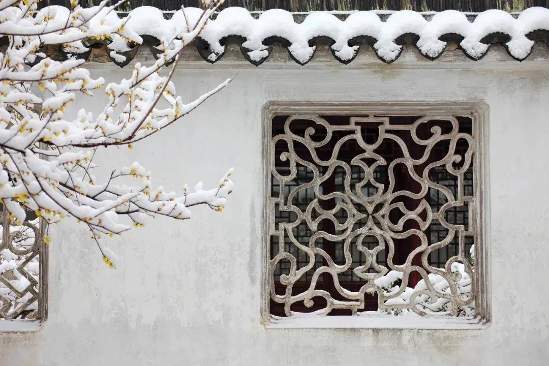 节气|今日“小雪” | 小雪雪满天，来年必丰年