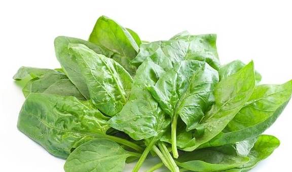 啥菜好消化又养胃 2a61b30cf4524865aa4e13c2c8d2b1b3.jpeg