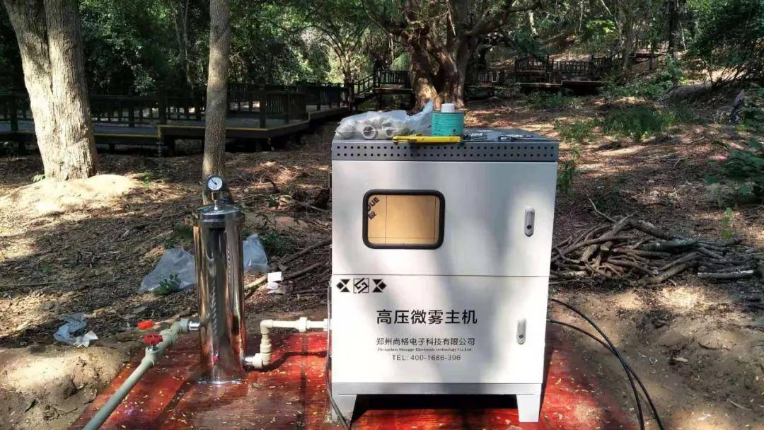 雾森主机返回搜狐,查看更多