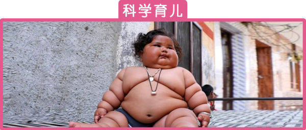 体型|宝宝越胖越可爱？肥胖的危害家长需警惕！