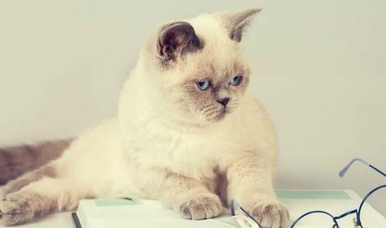 老公|每日一笑:朋友聚餐,谈到老婆这个话题,我实在控制不住自己!