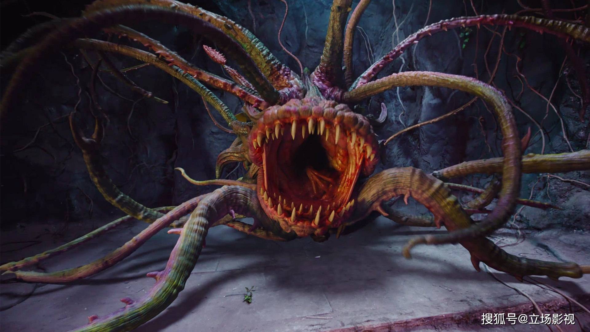 向东|上线就冲上第2，《发丘天棺》却满屏尴尬，就这也能“鬼吹灯”？