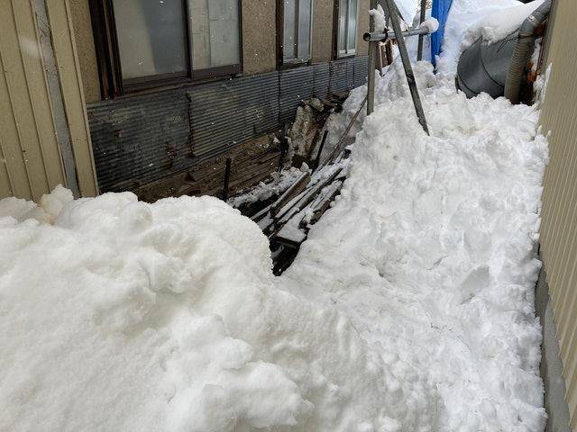 小猫被困积雪喊“救命”，暖男花3小时救猫，猫：都怪你动作太慢