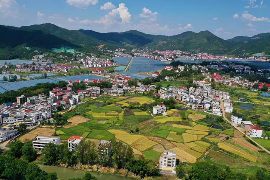 一站一街携禾丰镇赣南脐橙助力乡村振兴