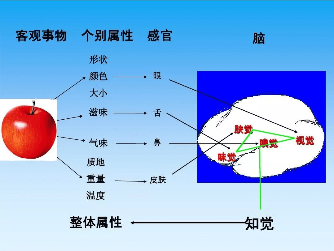 什么是感统训练怎么做感统训练