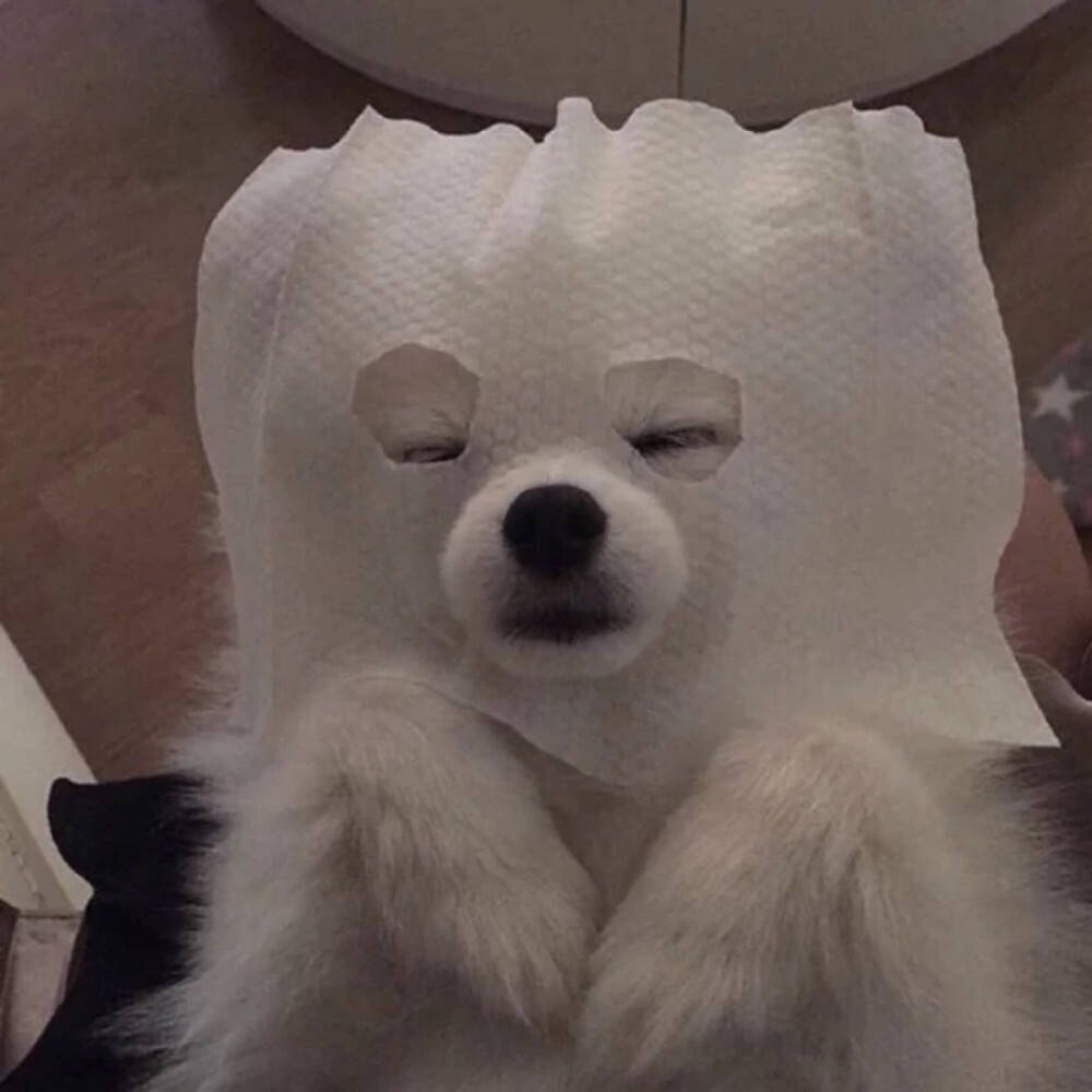 爱情是个让时光熏染的轮回,是野春风又来,山茶花再开.