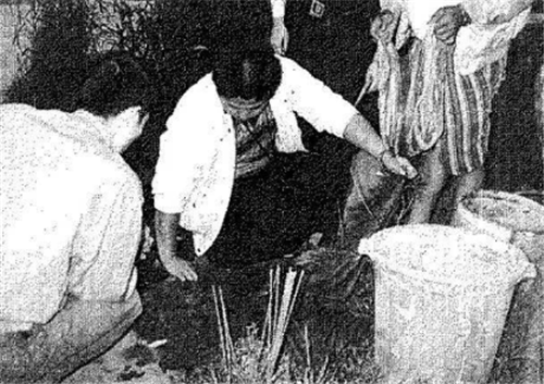 1988年,台湾男子因"杀妻"被捕,5年后妻子带别人孩子突然现身_吴瑞云