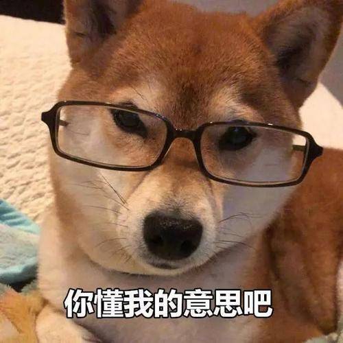 眼睛佩戴隐形眼镜顺序
