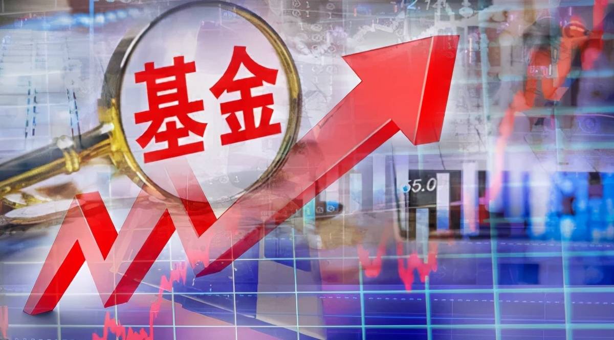 fof基金急剧扩张,仅1只基金亏损!这些基金最受专业买手青睐(名单)