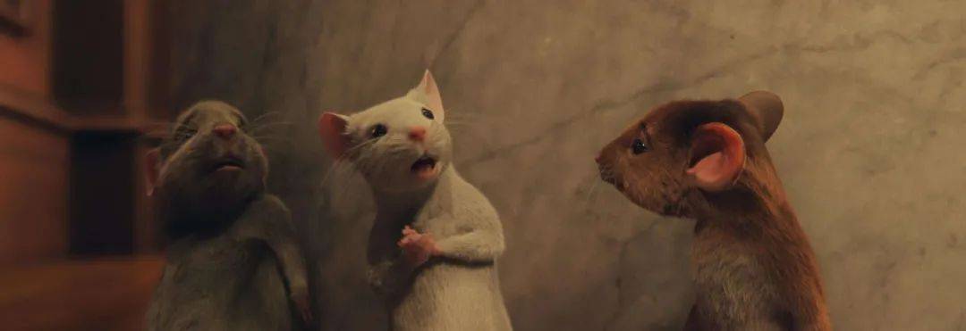 安妮·|《女巫》？不如叫做女妖更贴切