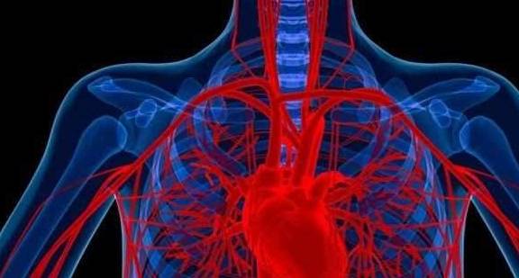 进行|中青年预防猝死,知道这6种措施,做好这6个“避免”,值得收藏