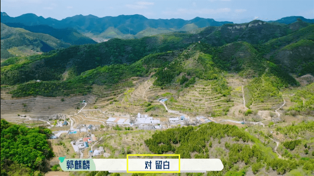 评价|郭麒麟对李雪琴够仗义，李雪琴评价苏芒的书一般般，大麟子忙圆场？