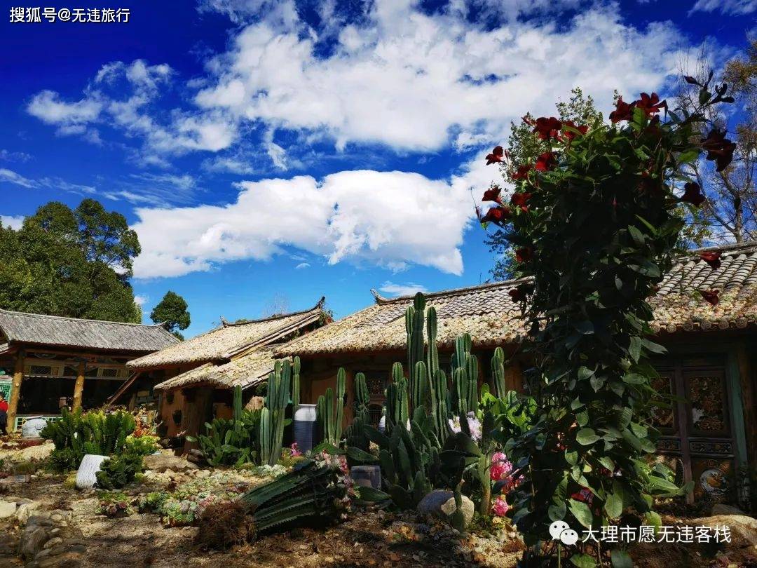 大理小众游玩:带着老人游览苍山植物园,随遇而安就好!