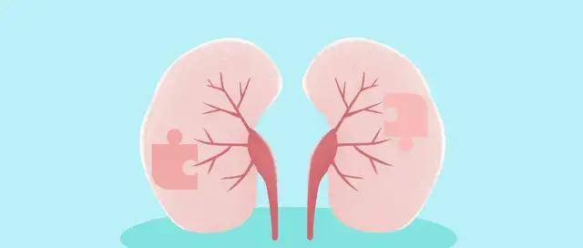 治疗|血透治疗面面观