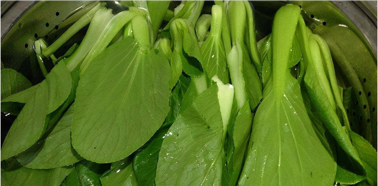 九个月宝宝能吃什么青菜 ca2dcbfe53f84483a5f55c7c0b89bd74.jpeg