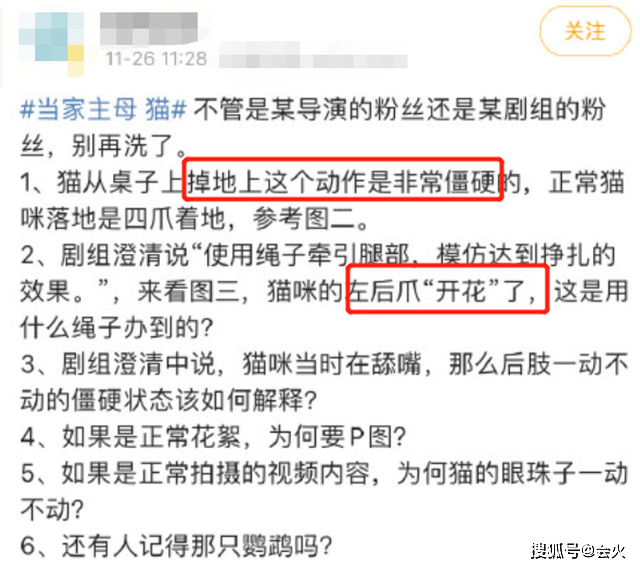 蔣勤勤回應「疑似虐貓」事件！拍攝時不在現場，否認故意推卸責任 娛樂 第6張