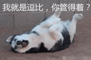 小伙二哈失踪7天后，在狗肉饭店被找到，看清它的样子后主人崩溃！