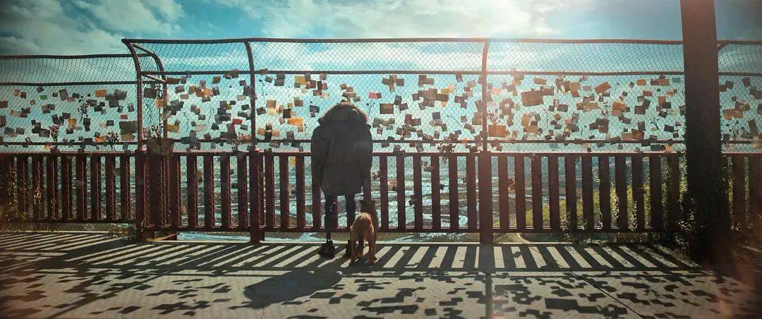 芬奇一人一狗一机器人末世里简单却难以抗拒的温情