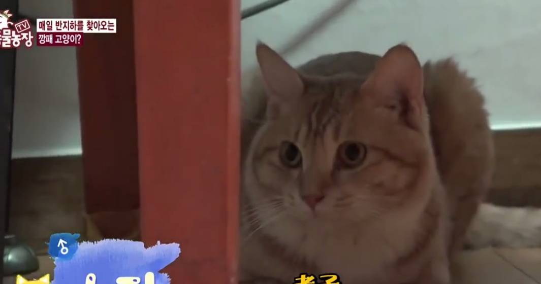 bb07481b312c4799b5da18d22f21f664.jpeg