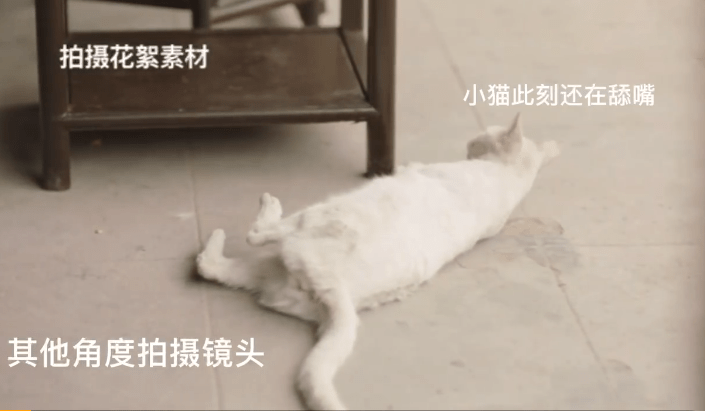 0c44161b7b1a42e386d5a80acdb0dd2b.png