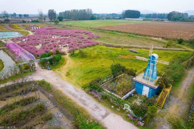 休闲地|淮北双楼花海你知道吗，和高岳现代示范区在一起，好大一片好漂亮