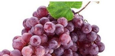 人群|聪明人夏天都吃葡萄,能养血美容,安神助眠,养胃健脾,早知早好