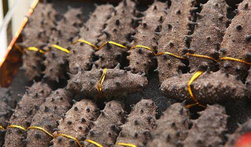 妙品|此物是天然的“雄激素”，男人可多吃，身体健康了，谁吃谁受益