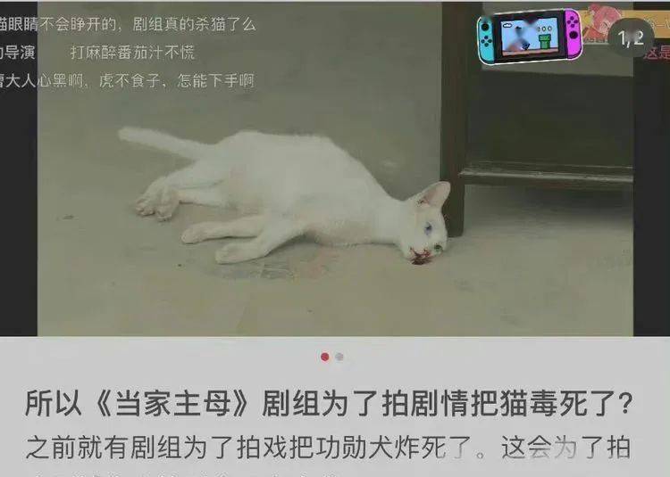 猫的树导演的剧 a445da69bdaa4198ab6c57d6ccb6951f.jpeg