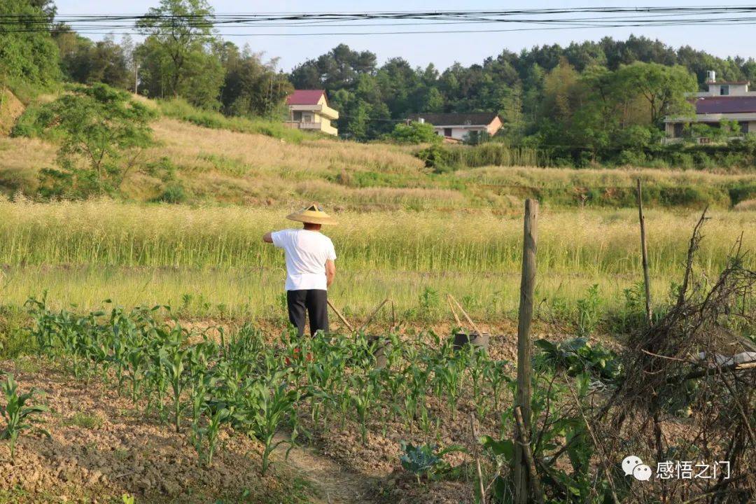 时间|诗致民国四大才女【吕碧城|萧红|石评梅|张爱玲2021年11月29日）