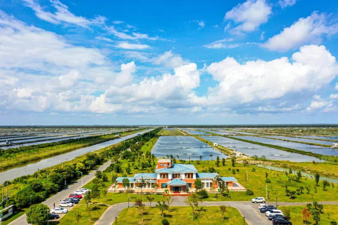 专访华东地区规模最大探秘8万亩标准化水产养殖基地
