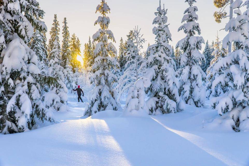 瑞典国家旅游局Nils Persson：“期待未来有更多人体验并热爱冰雪运动“|专访