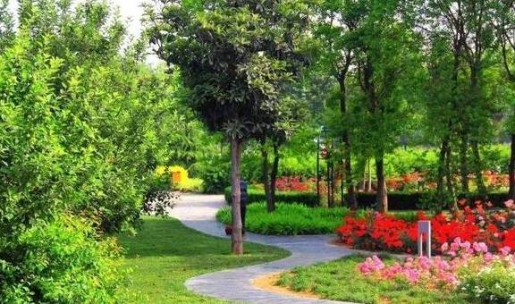 郑州“巨无霸”公园走红，面积是绿博园的两倍，号称“城市绿肺”