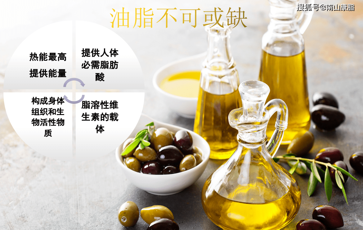 南山康脂甘油二酯油告诉您:减肥与美食二者兼得,吃对油是关键