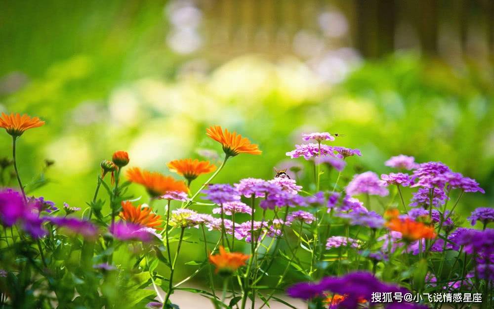 21年12月3日十二生肖运势解析 工作 财运 爱情 21年12月3日十二生肖运势解析 工作 财运 爱情